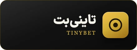 لوگوی تاینی‌بت